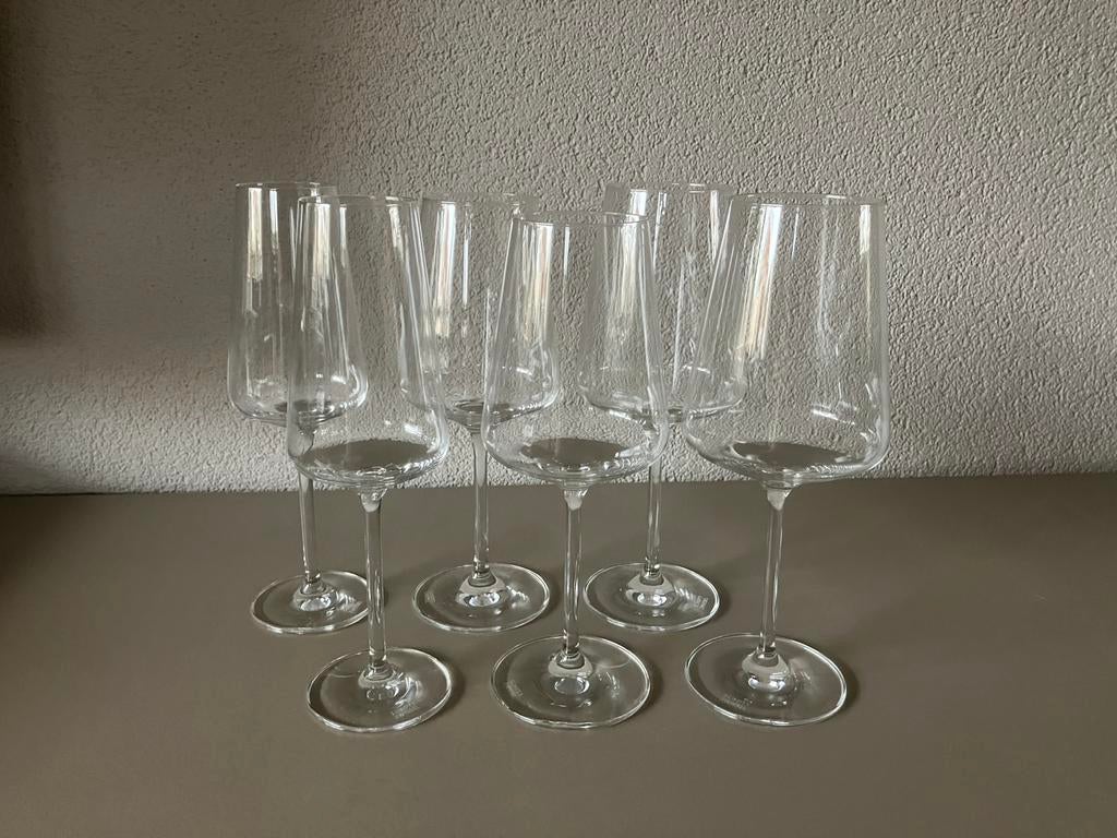 Schott Zwiesel Passionata – rood, wit en champagne – nieuw, Glas of Glazen, Nieuw, Ophalen of Verzenden, Glas