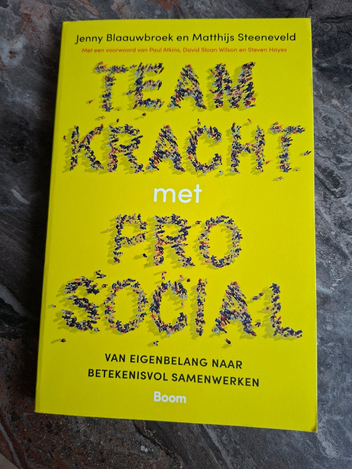 Teamkracht met Pro Social - Jenny Blaauwbroek, Ophalen of Verzenden, Zo goed als nieuw, Jenny Blaauwbroek en Matthijs Steeneveld
