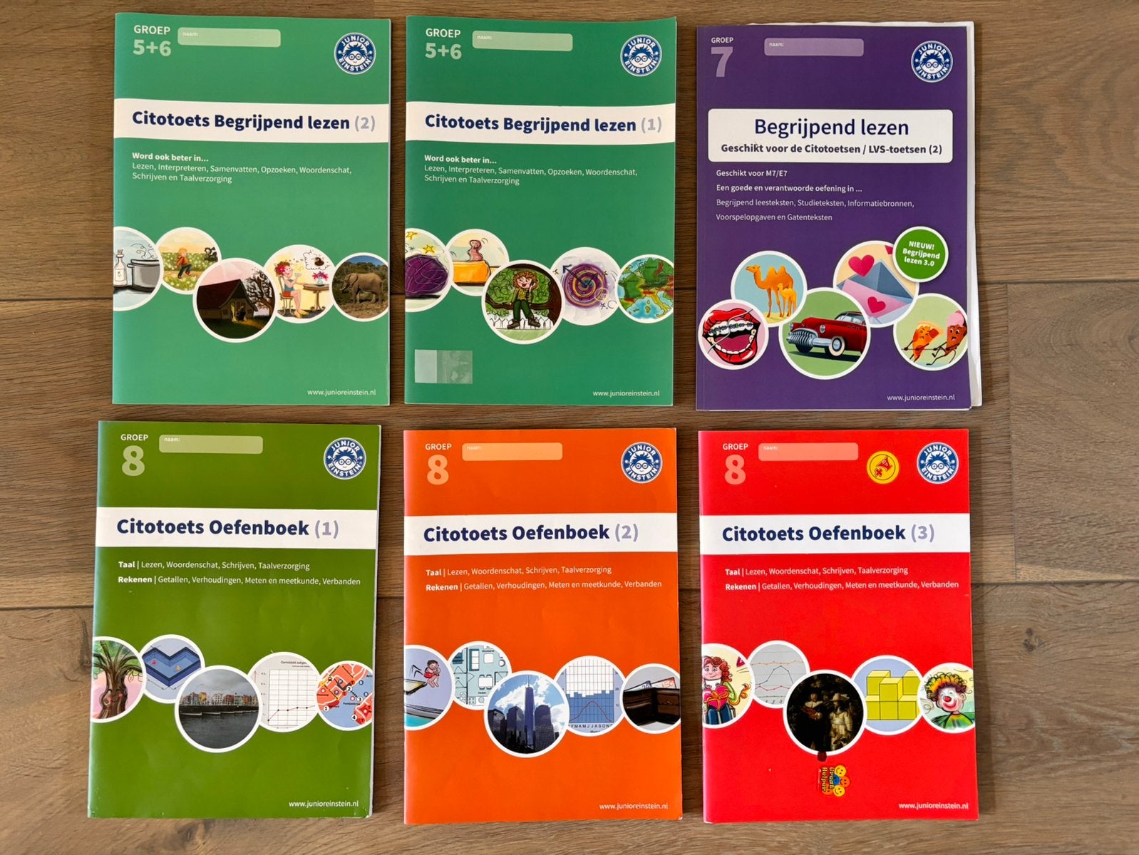 Cito oefenboeken Junior Einstein groep 5, 6, 7 en 8, Ophalen of Verzenden, Zo goed als nieuw, Overige niveaus, Nederlands