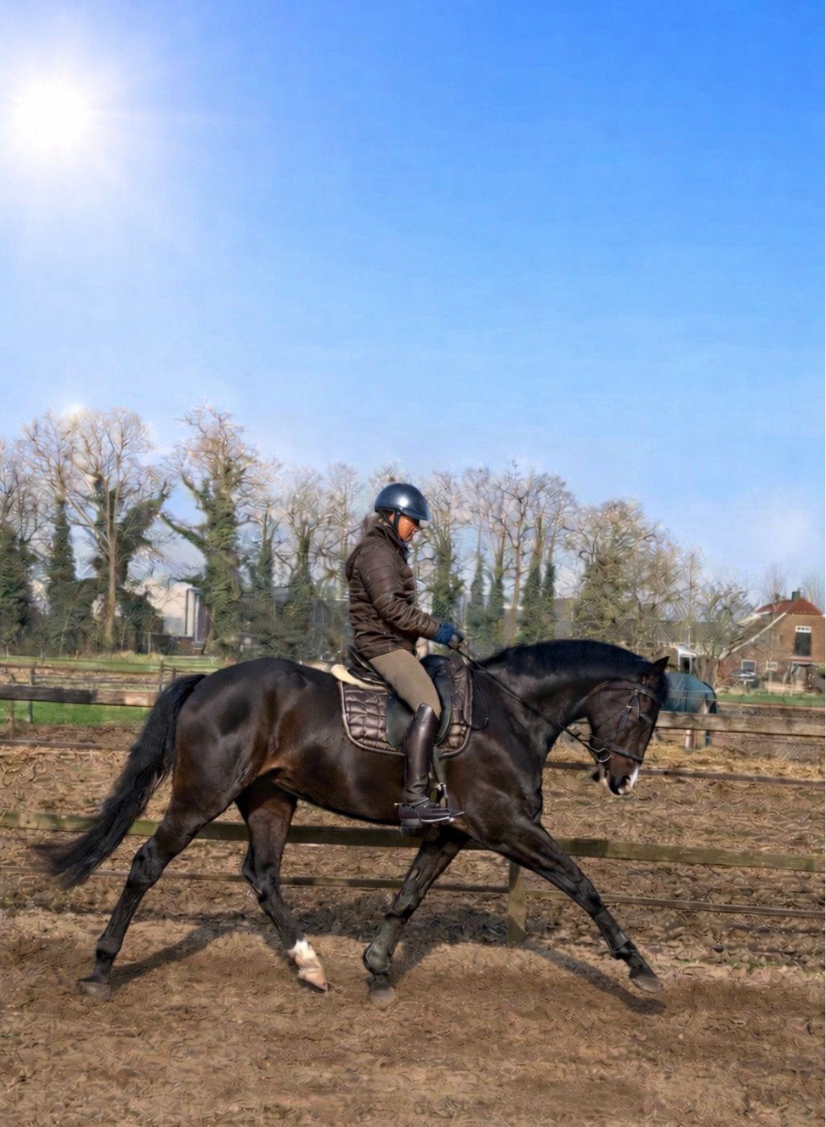 Gezocht: dressuurzadel voor rondgeribde merrie, Dieren en Toebehoren, Paarden en Pony's | Zadels, Ophalen of Verzenden, Dressuur