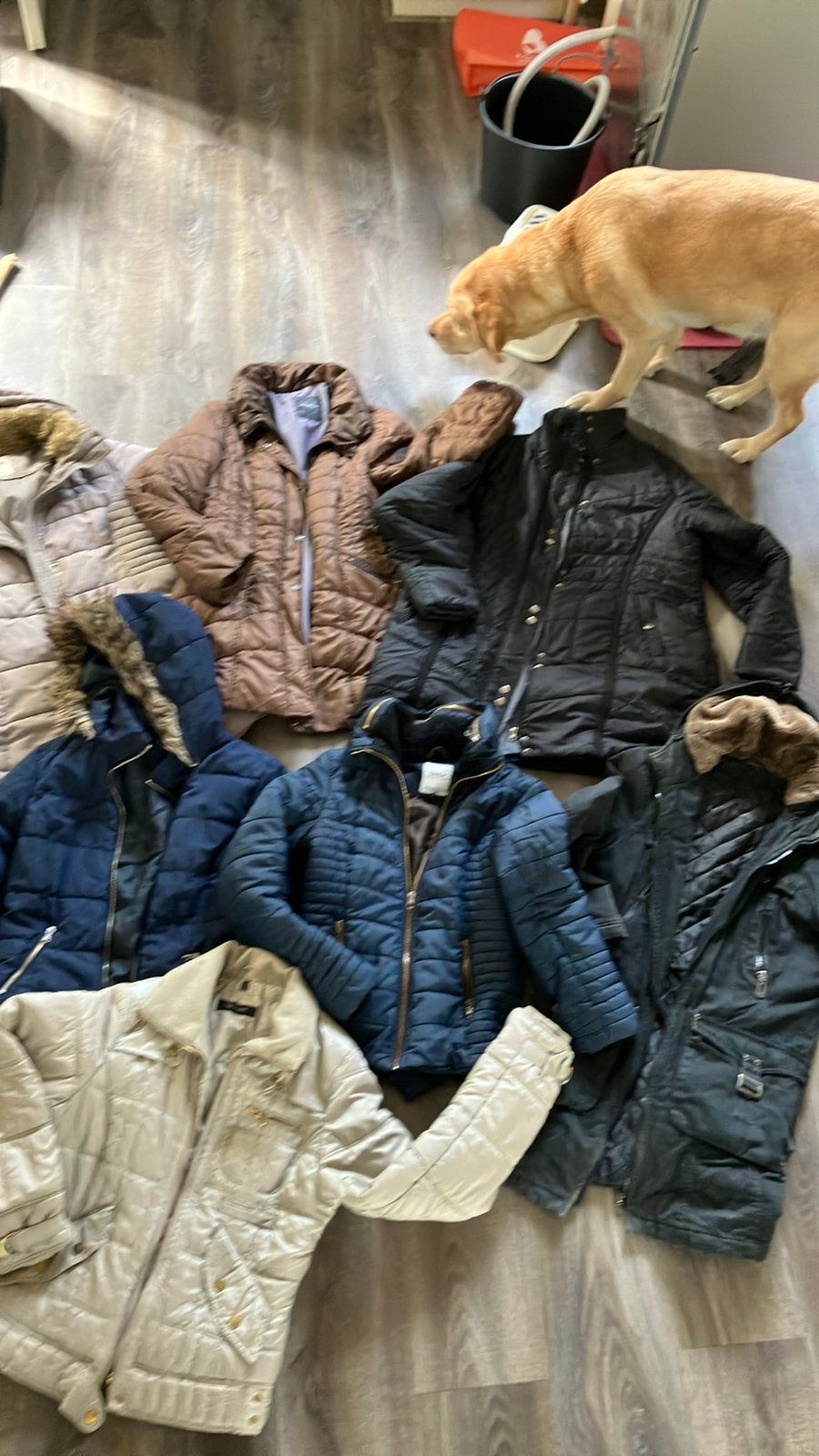 Dames winterjas jas blauw zwart beige bruin, Ophalen of Verzenden, Zo goed als nieuw, Maat 34 (XS) of kleiner, Blauw