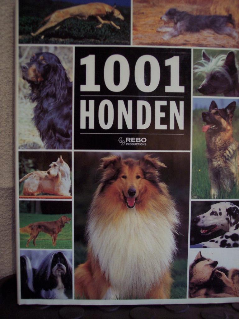 1001 HONDEN, Ophalen of Verzenden, Zo goed als nieuw, Honden