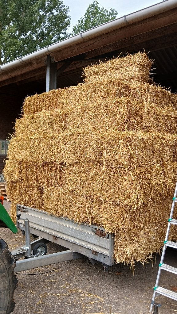 Goudgele kleine pakjes tarwestro balen, Dieren en Toebehoren, Dierenvoeding, Ophalen, Vee