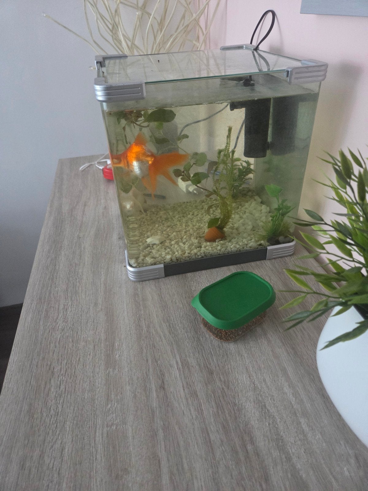 aquarium voor beginners, Dieren en Toebehoren, Ophalen, Gebruikt, Leeg aquarium