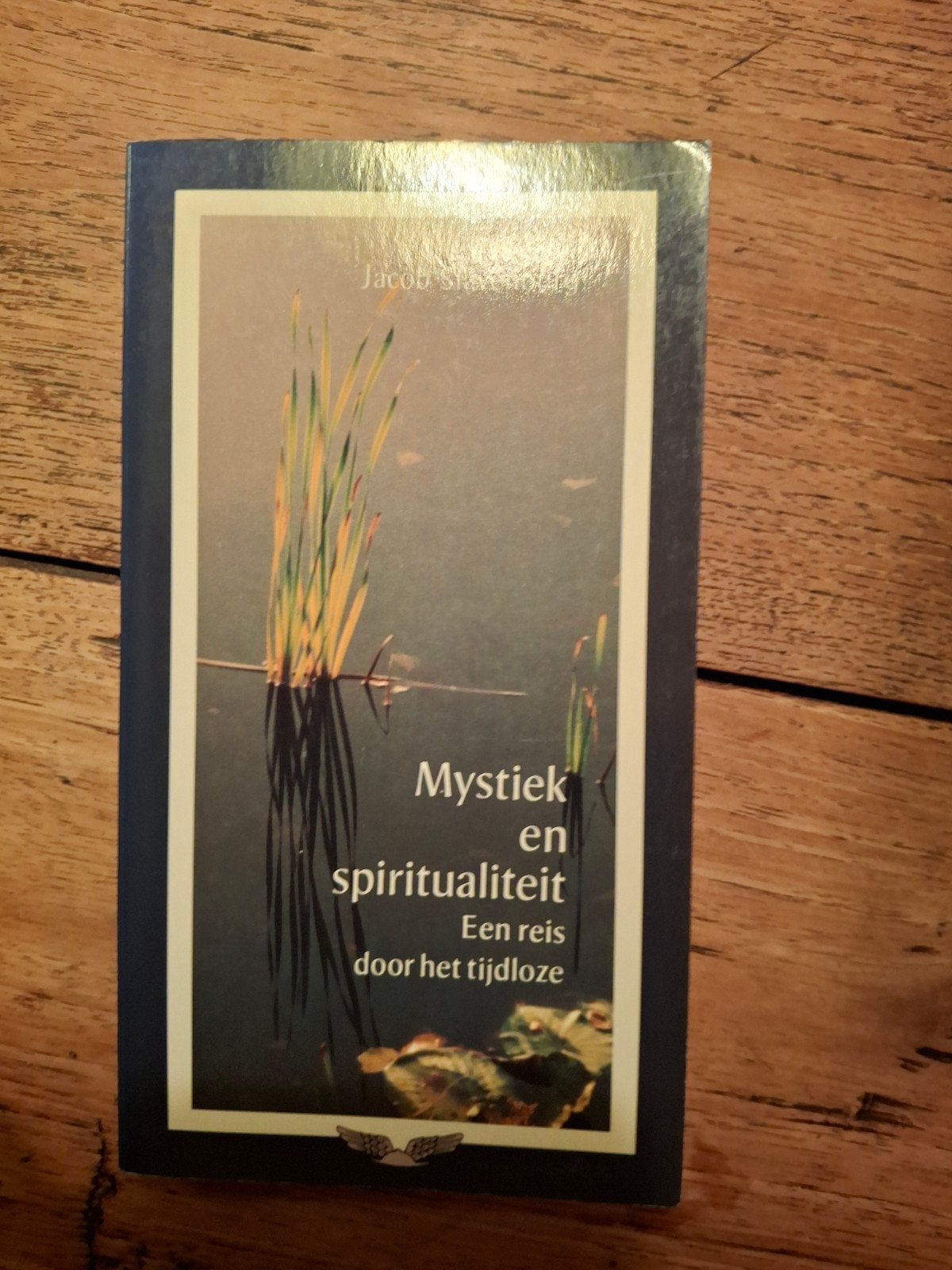 Jacob Slavenburg - Mystiek en spiritualiteit, Boeken, Gelezen, Achtergrond en Informatie, Spiritualiteit algemeen, Ophalen of Verzenden