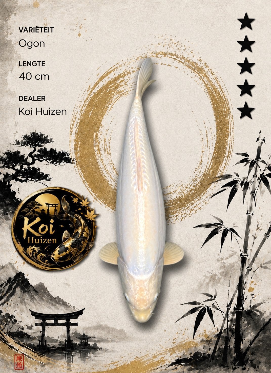 Ogon koi 40cm, Karper of Koi