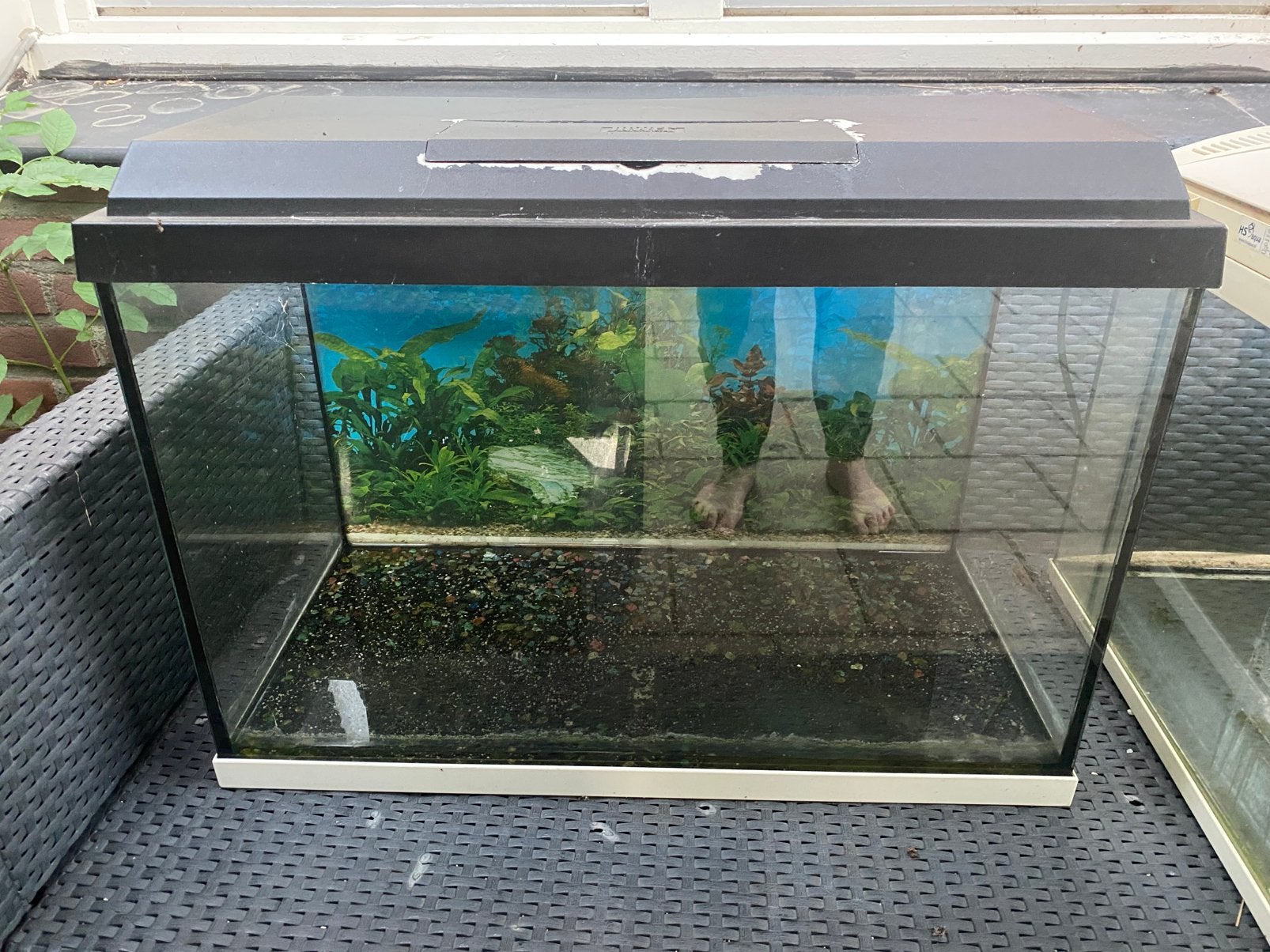 Aquarium, Ophalen, Zo goed als nieuw, Leeg aquarium