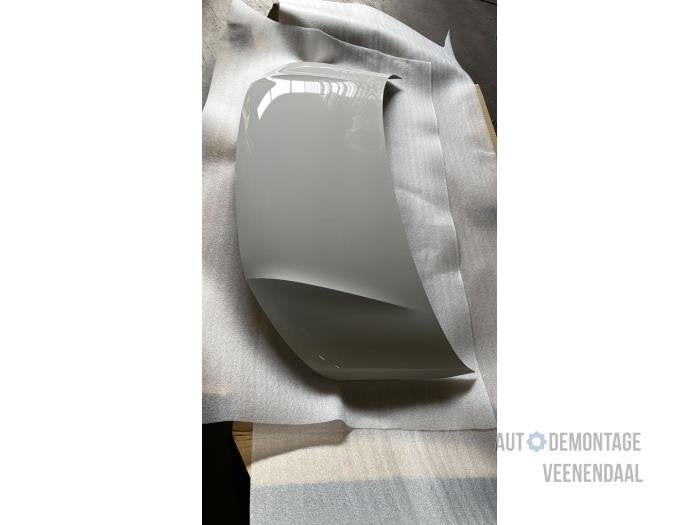 Motorkap van een Volkswagen Transporter (LB9A), Auto-onderdelen, Carrosserie en Plaatwerk, -, Volkswagen, -, Nieuw