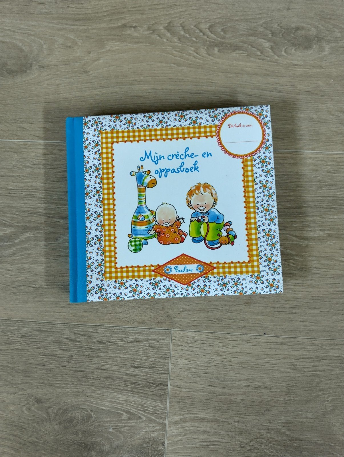 Mijn crèche- en oppasboek, Ophalen of Verzenden, Nieuw, Opvoeding tot 6 jaar, Pauline