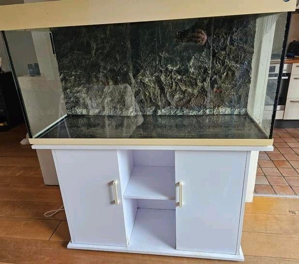 Aquarium 250 liter 120cm, Gebruikt, Overige merken, Ophalen of Verzenden, Inclusief deksel