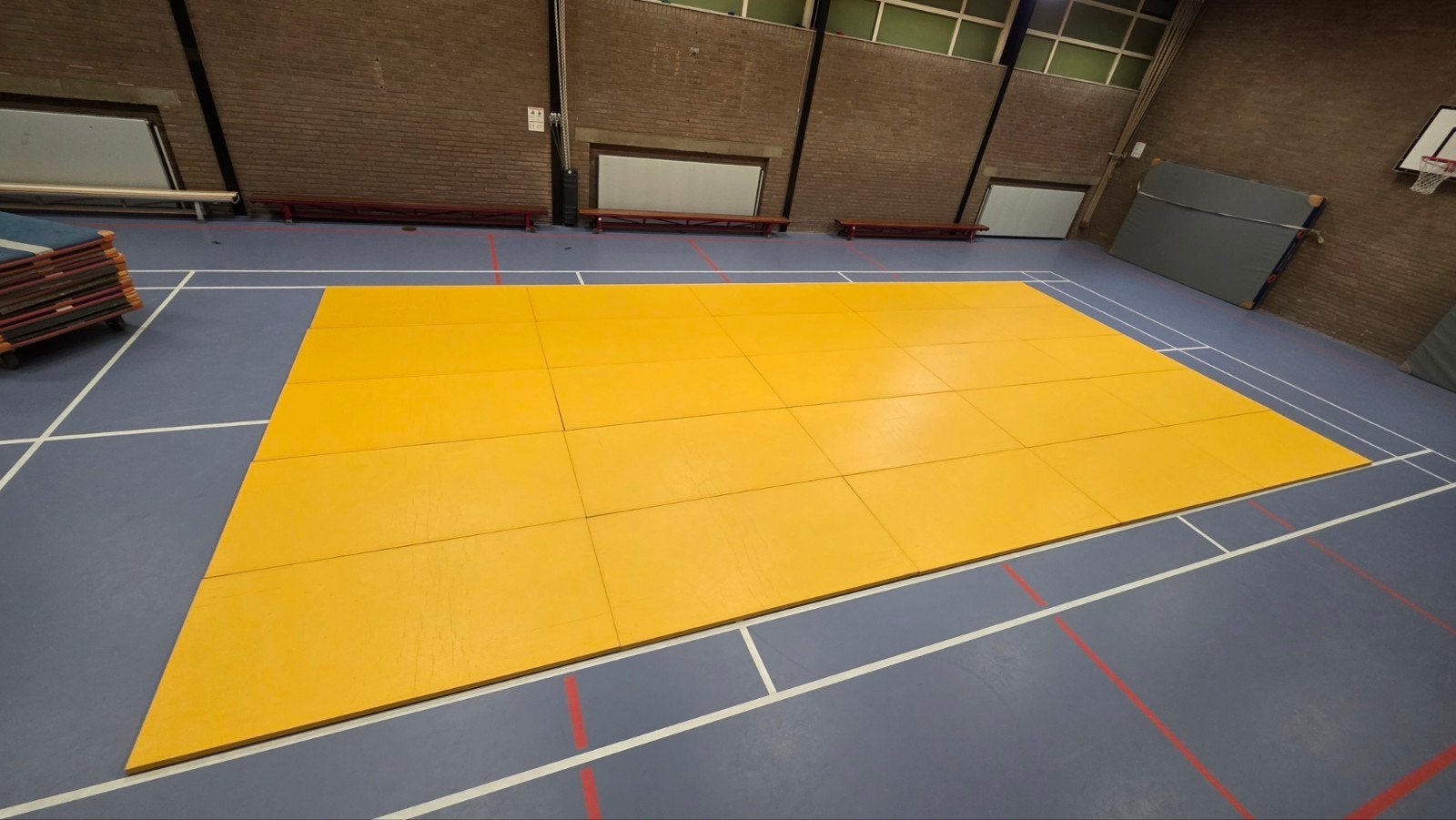 Judo matten - Professionele vechtsportmatten, Sport en Fitness, Ophalen, Gebruikt, Judo, Vechtsportmateriaal