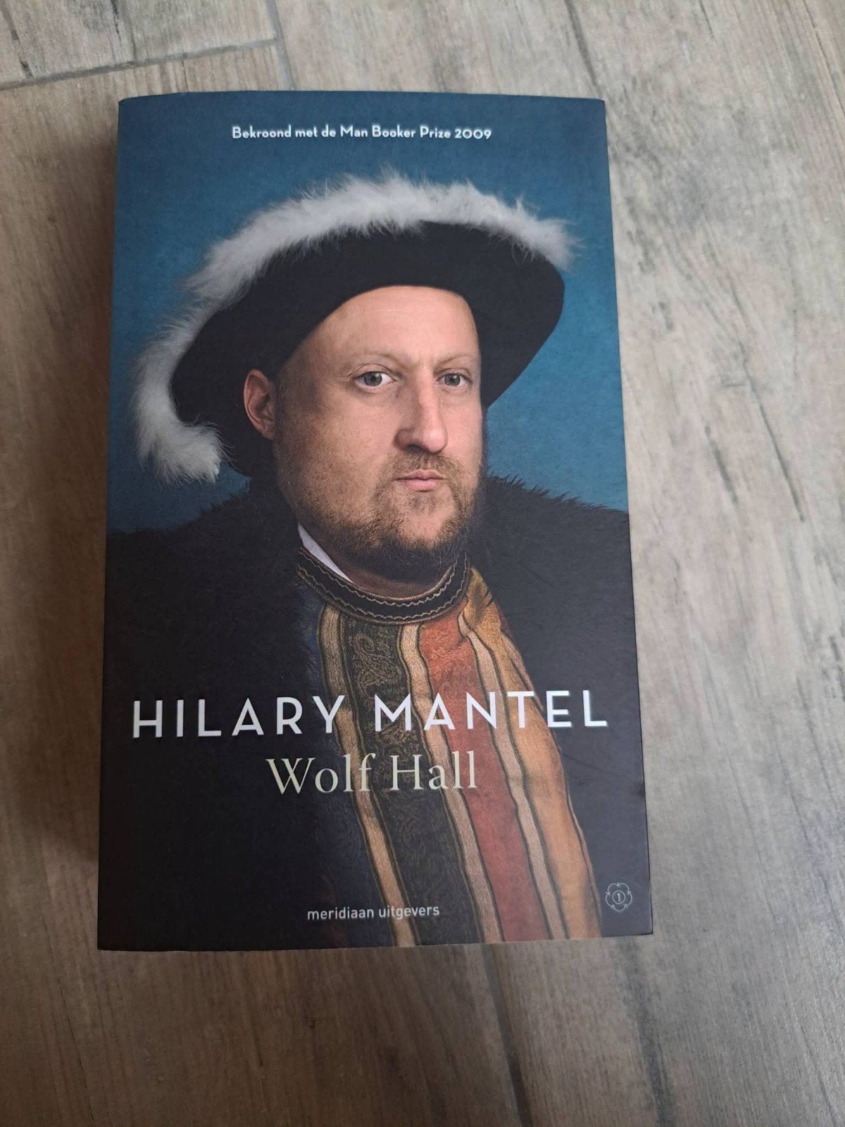 Roman Wolf Hall van Hilary Mantel, Ophalen of Verzenden, Gelezen