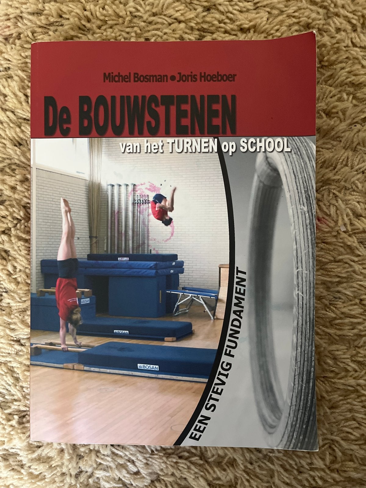 De bouwstenen van het turnen op school - Michel Bosman (PABO, Boeken, Ophalen of Verzenden, Gelezen, HBO