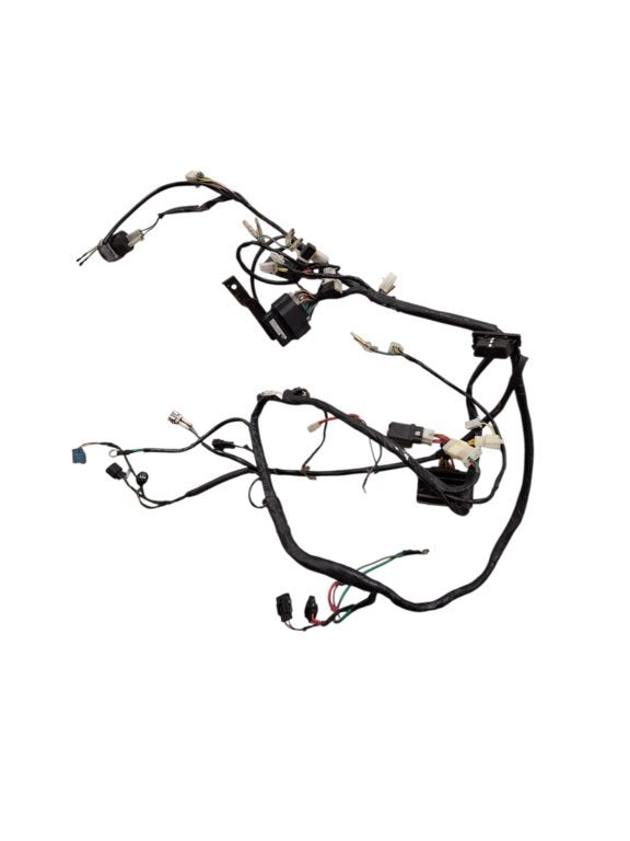 Kabelboom spanningsregelaar ecu origineel Peugeot Kisbee 45, Gebruikt, Ophalen of Verzenden, Peugeot, Peugeot