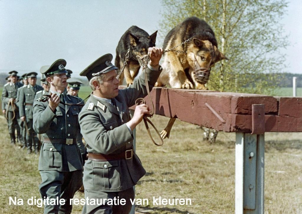 DDR 2 Foto's Volkspolizei VOPO Honden Hundeführer Training, Verzenden, Overige soorten, Duitsland, Foto of Poster