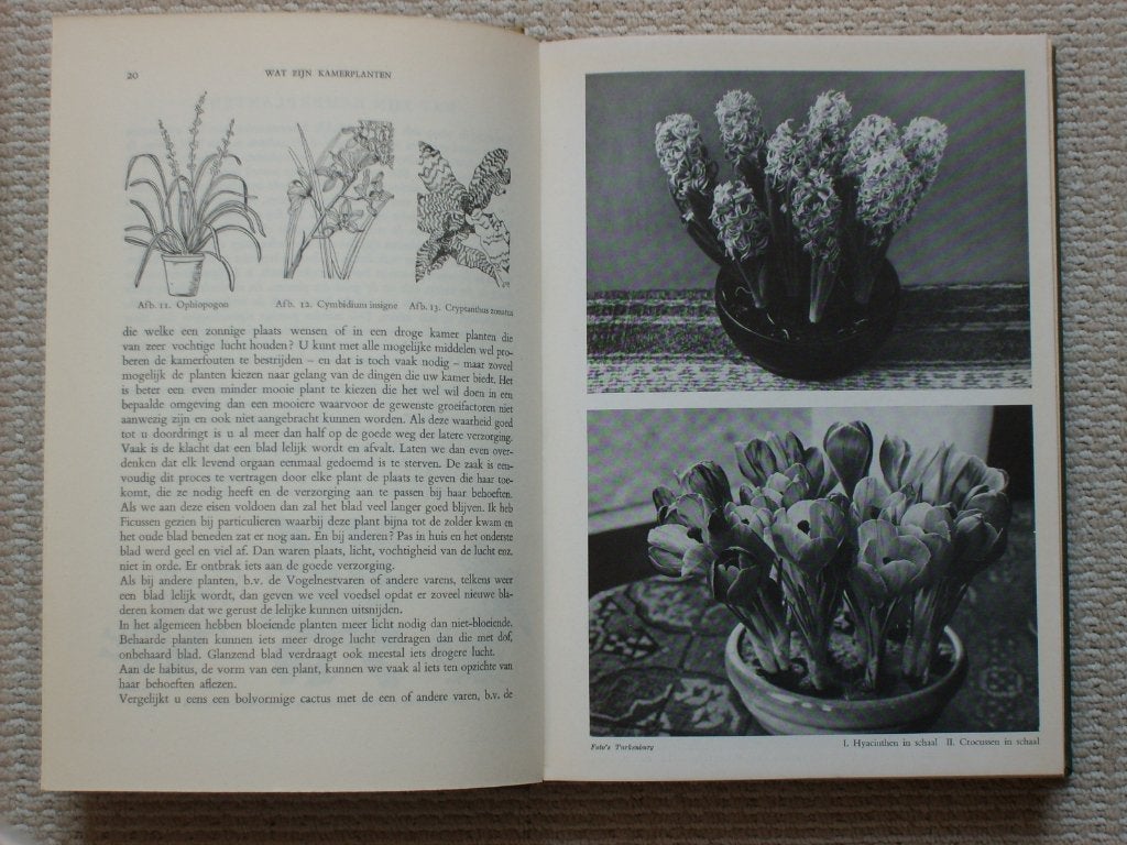 Grote klassieke tuinboeken € 7,50 p. st., Ophalen of Verzenden, Gelezen, Bloemen, Planten en Bomen