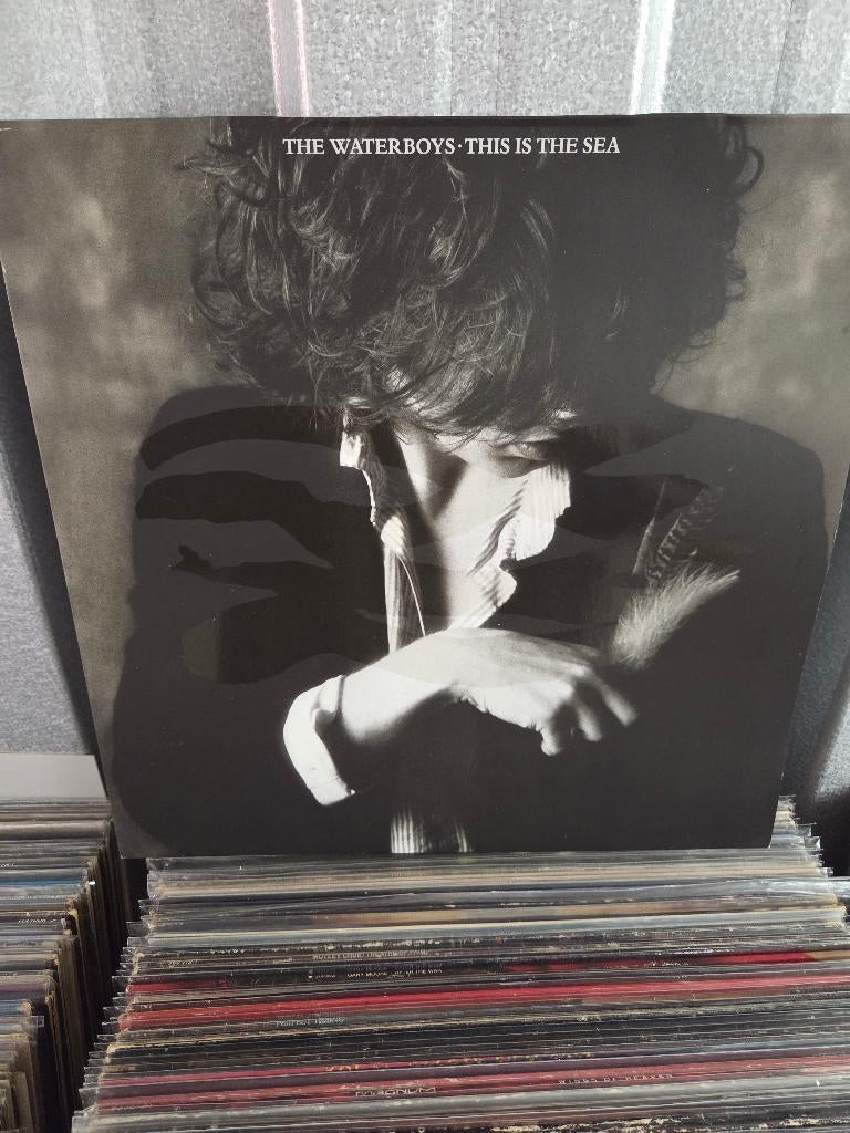 Vinyl lp WATERBOYS: THIS IS THE SEA, Gebruikt, 12 inch, Poprock, Inclusief binnenhoes