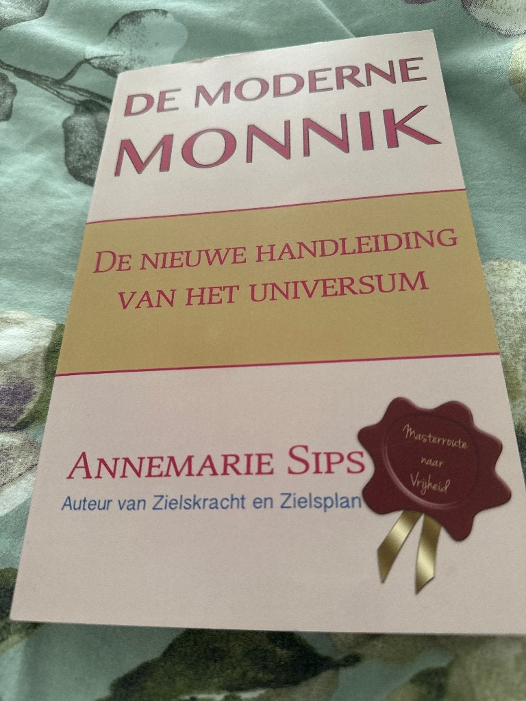 De moderne monnik, Ophalen of Verzenden, Zo goed als nieuw, Spiritualiteit algemeen, Overige typen