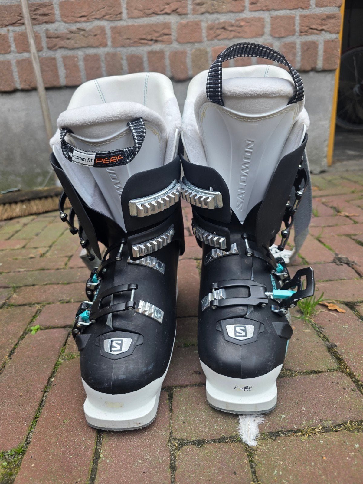 dames skischoenen Salomon, incl ski's en stokken. zeer goed., Ophalen, 160 tot 180 cm, Schoenen, Salomon