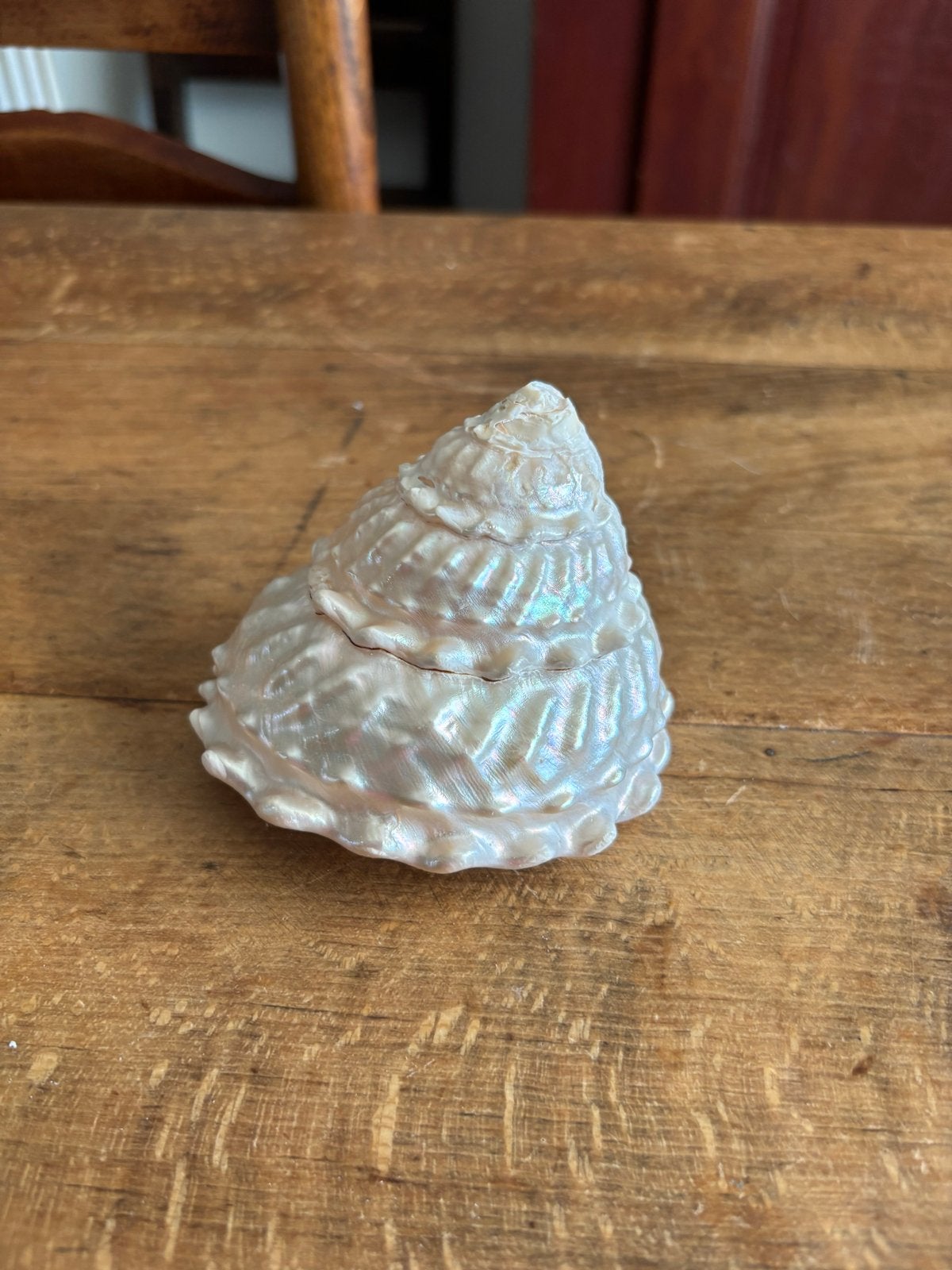 Prachtige parelmoeren schelp - 9,5 cm breed, 8 cm hoog, Ophalen of Verzenden