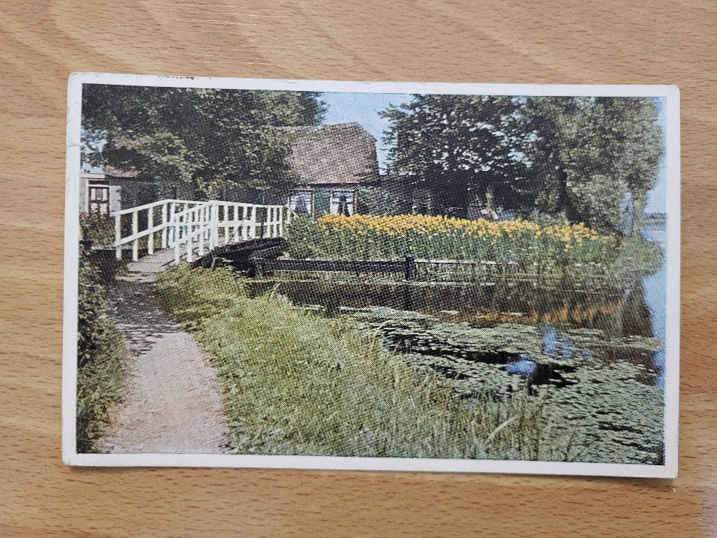 ansicht .ANKEVEEN 1955, Ophalen of Verzenden, Voor 1920, Noord-Holland