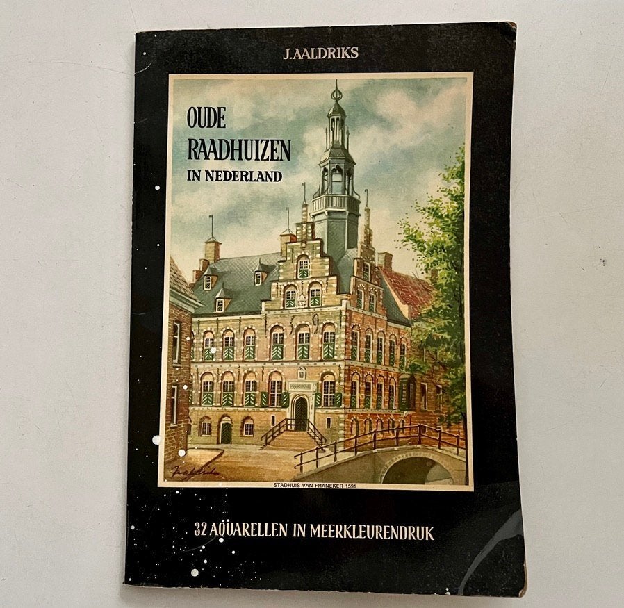 Oude Raadhuizen in Nederland, Ophalen of Verzenden, Gelezen