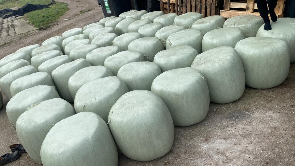 Mbp mais bierborstol pulp baaltjes, Ophalen of Verzenden, Vee