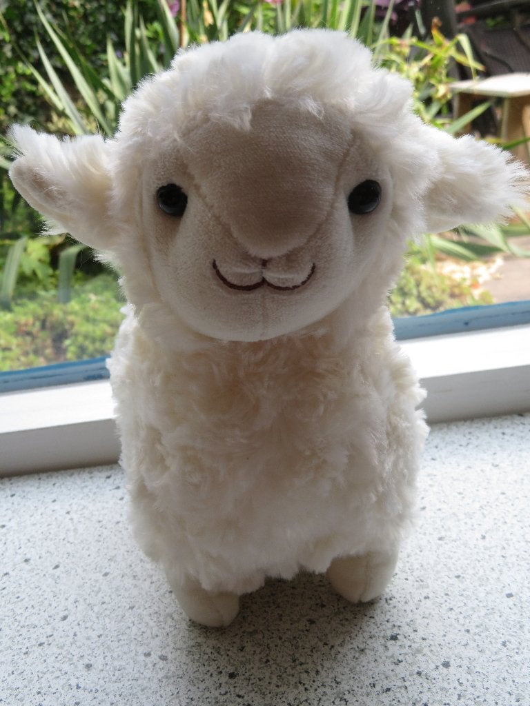 Schaap of schaapje merk PIA International Soft Toys, Overige typen, Ophalen of Verzenden, Zo goed als nieuw, Wasbaar