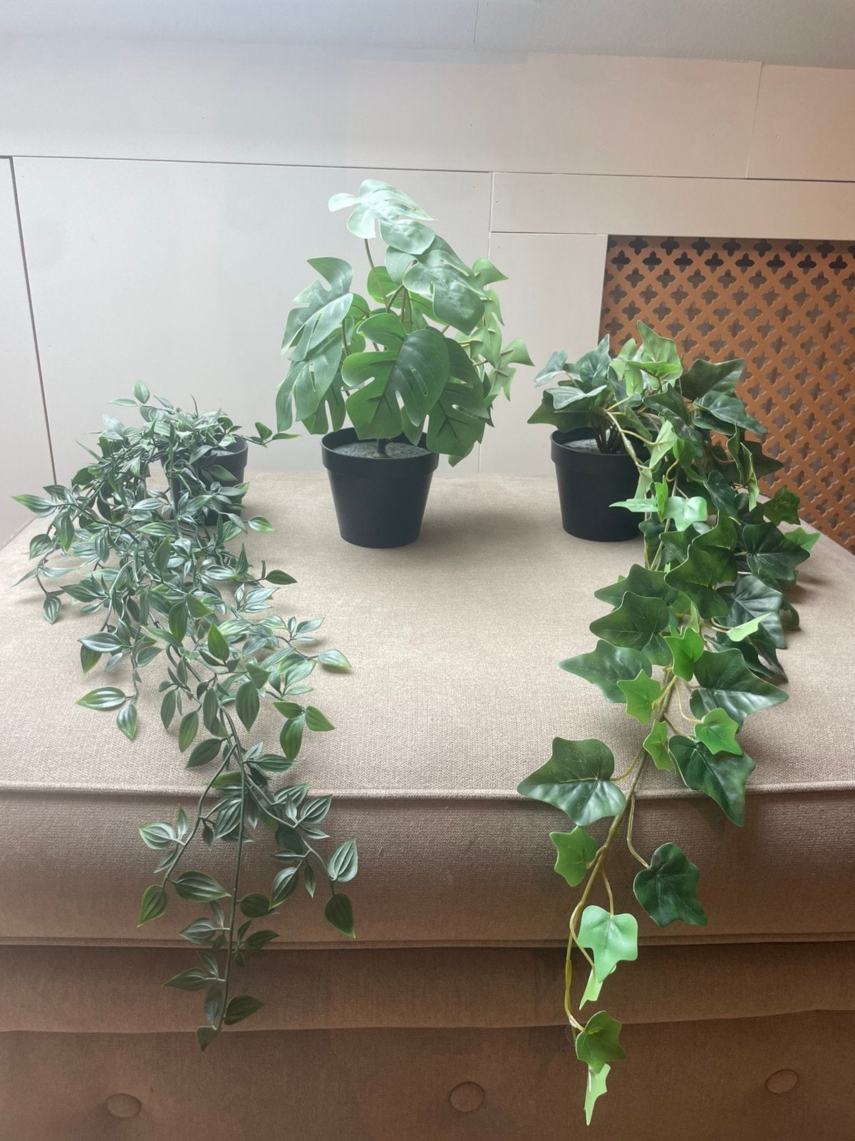 Kunstplanten, Ophalen, Binnen, Groen, Kunstplant