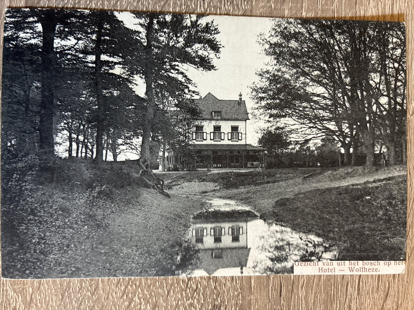 Oude Ansichtkaart Hotel Wolfheze - vanuit het Bosch, Ophalen of Verzenden, Voor 1920, Gelopen, Gelderland