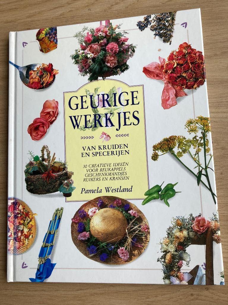 Boek Pamela Westland, Boeken, Ophalen of Verzenden, Zo goed als nieuw, Overige onderwerpen