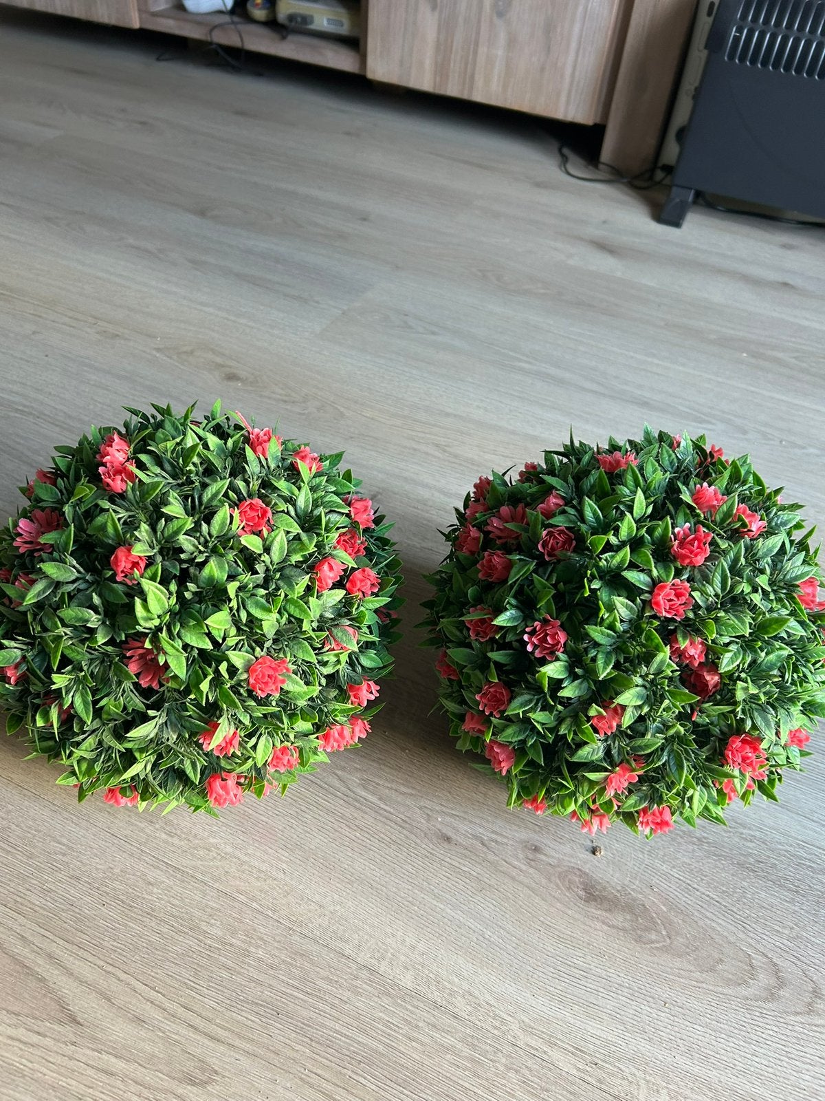 Bijna gratis af te halen 2 buxus bollen, Ophalen, Zo goed als nieuw