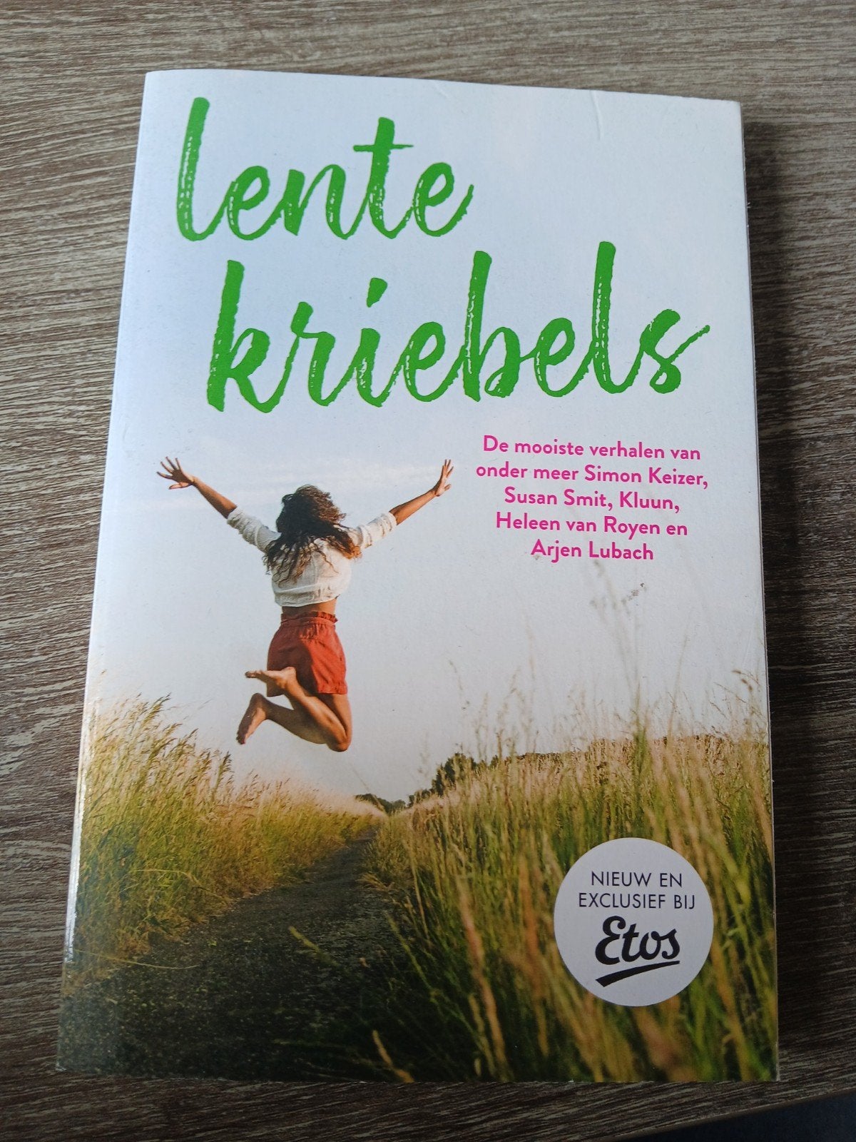 Boek met verhalen van verschillende schrijvers, Ophalen of Verzenden, Zo goed als nieuw