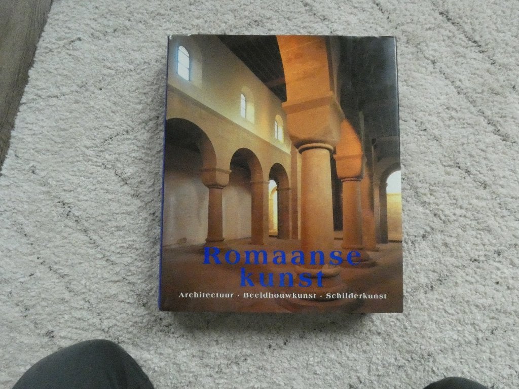 Romaanse kunst, architectuur - beeldhouwkunst  - schilderkun, Ophalen of Verzenden, Zo goed als nieuw, Architecten