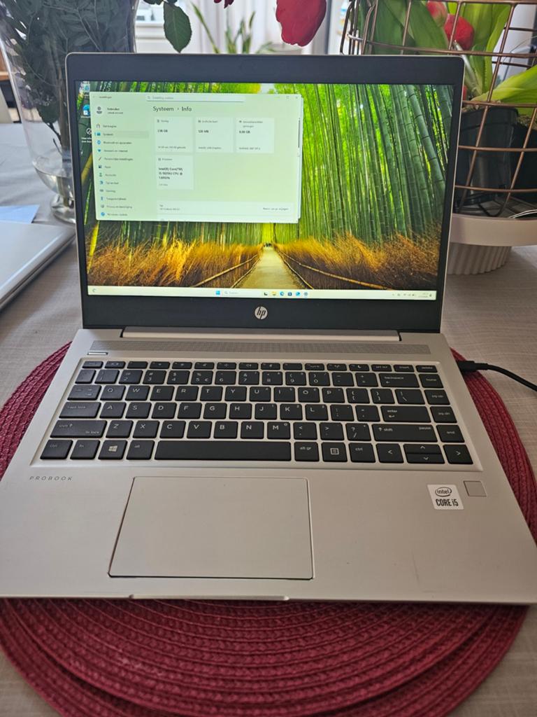 HP ProBook 440 G7 - i5-10210U, 8GB RAM, 256GB SSD, Gebruikt, 2 tot 3 Ghz, Qwerty, 8 GB