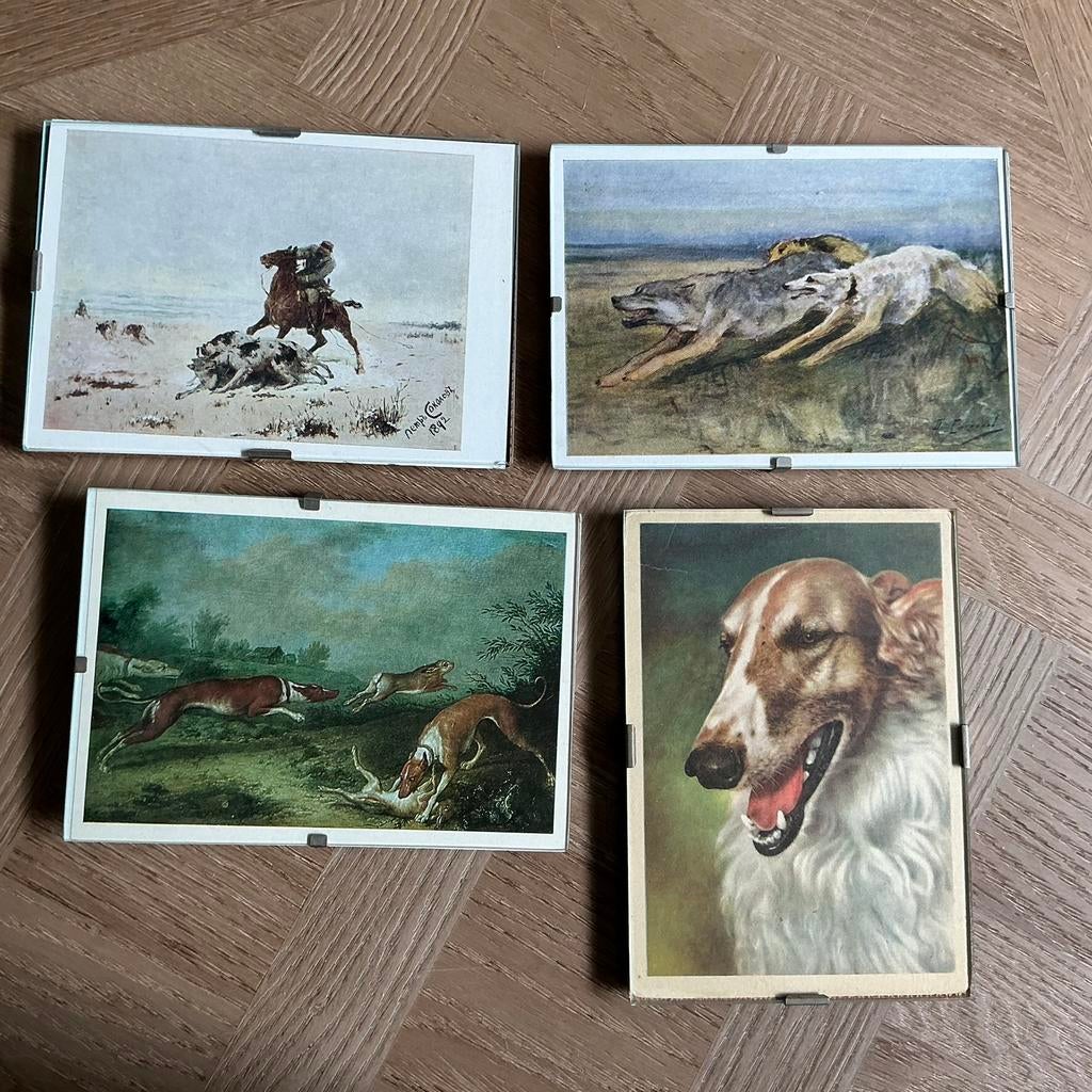 Postkaart met barzoi ,greyhoud,galgo,hazewindhond,wolf, Ophalen, Gebruikt