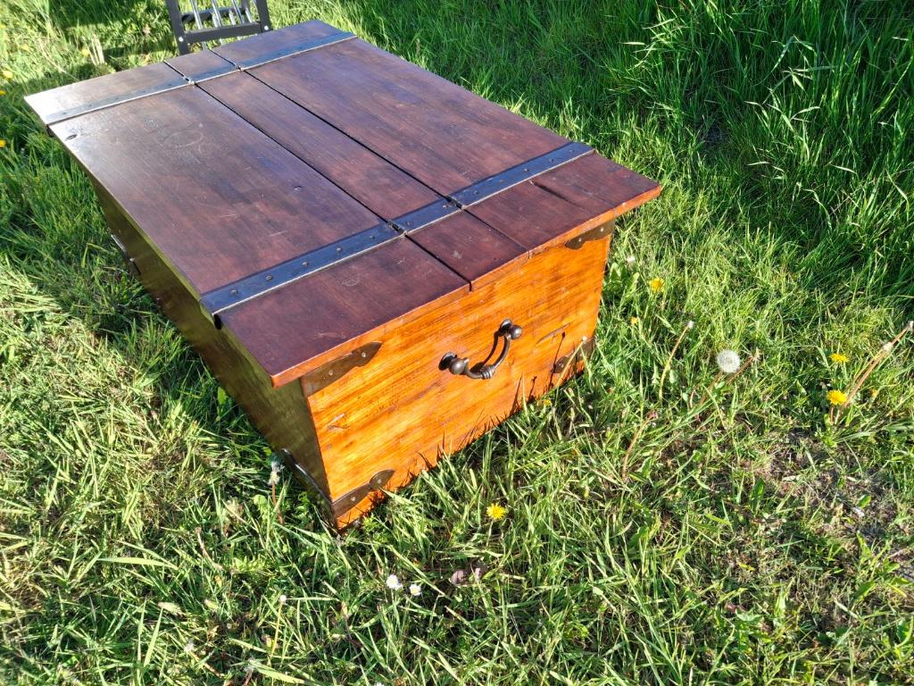Kist, dekenkist, salontafel, Gebruikt, 50 tot 100 cm, Minder dan 50 cm, Rechthoekig