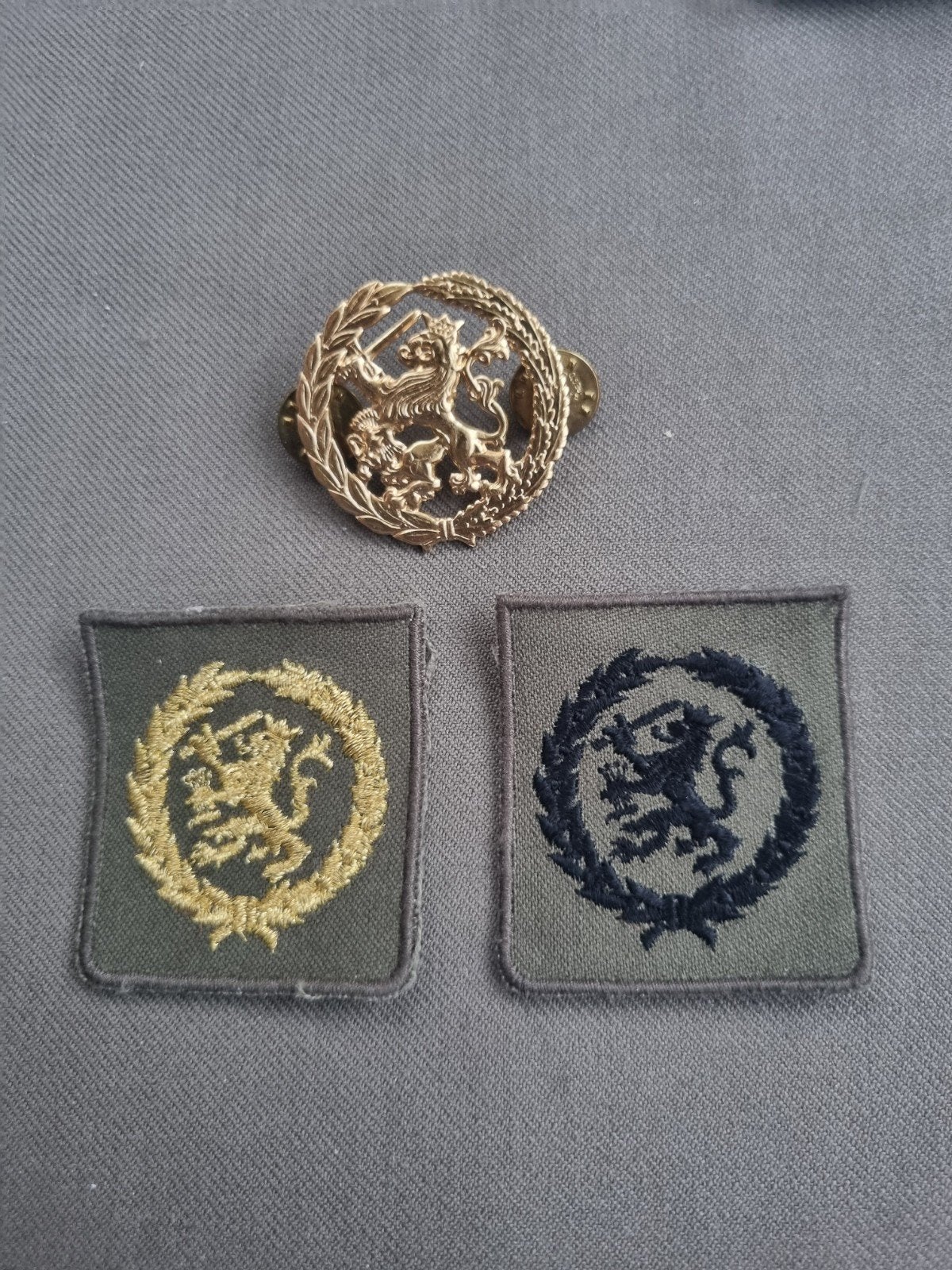 Pinspeld en patches functiebekwaamheid, Ophalen of Verzenden, Landmacht, Nederland, Embleem of Badge