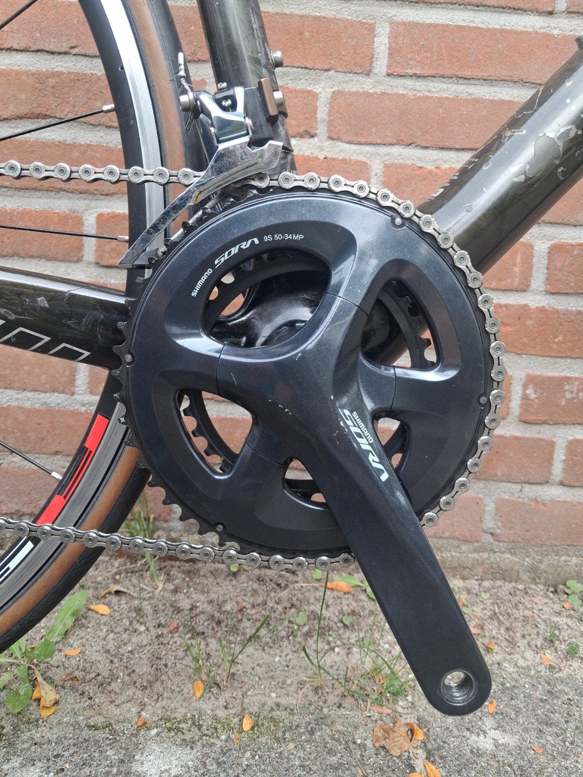 Foto 8 van Red Bull (Rose) Carbon-SL 4400