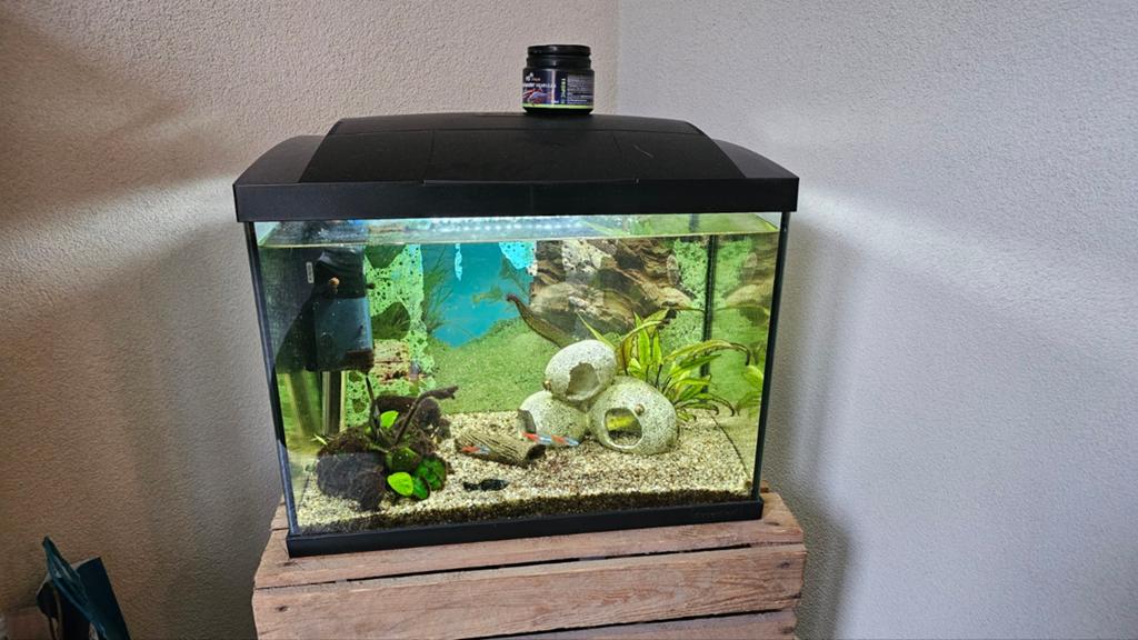Superfish Aquarium Start 50 39L, Ophalen, Zo goed als nieuw, Gevuld zoetwateraquarium
