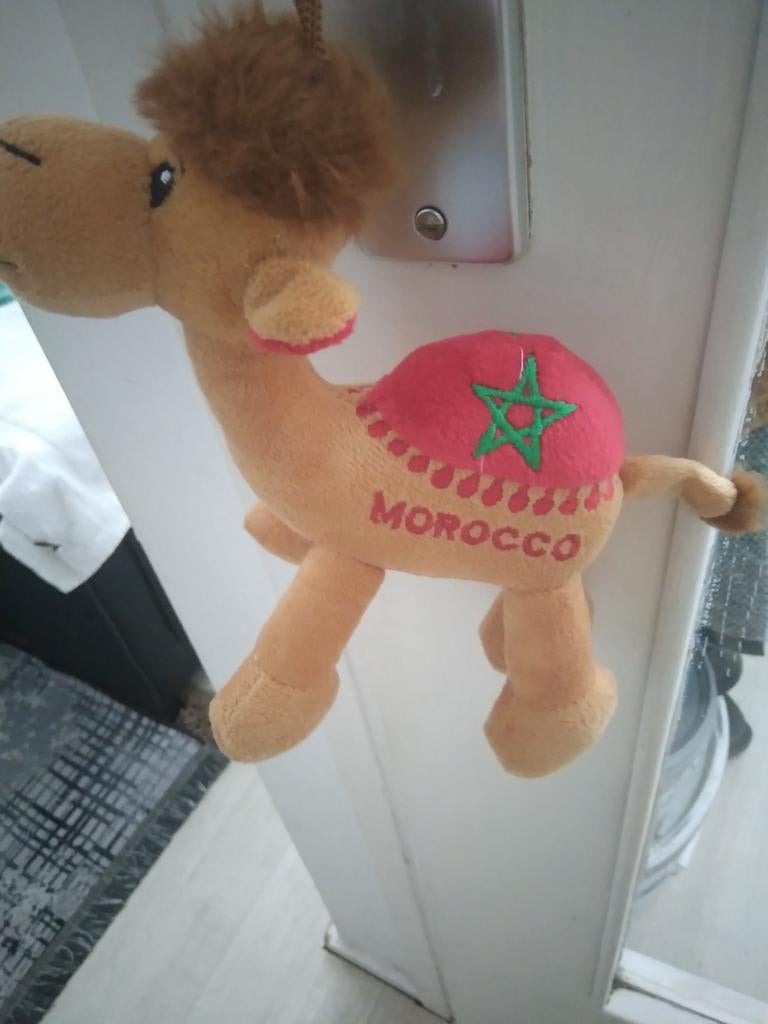 Kinder speel goed kamel van marokkaan nieuwe opruimen, Ophalen, Nieuw, Overige typen