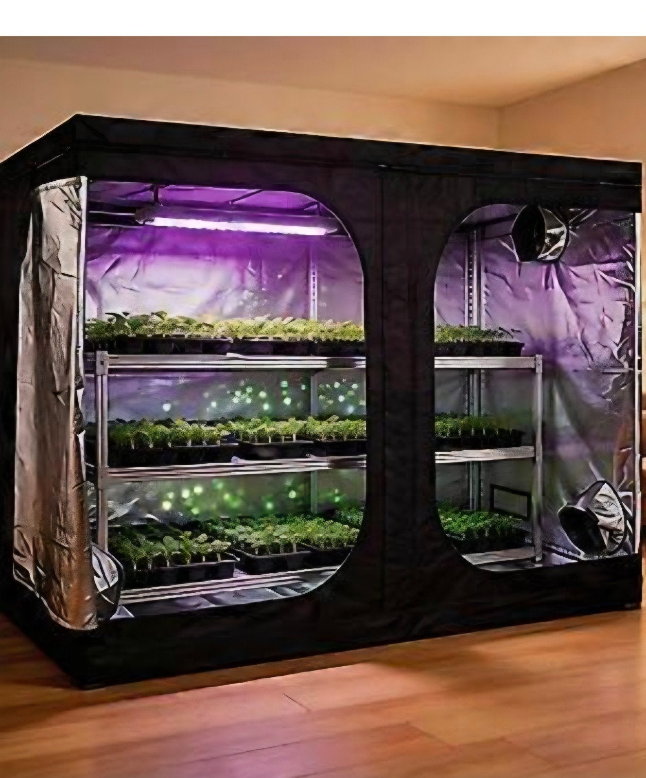 Kweektent 2.40x2.40m met complete benodigdheden, Ophalen of Verzenden, Nieuw, Kweektent