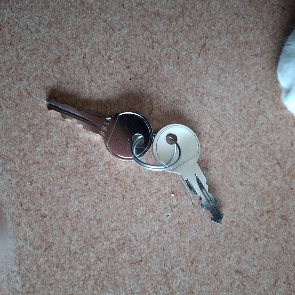 Dakdragers voor open dakrails, Auto diversen, Dakdragers, Ophalen of Verzenden, Gebruikt