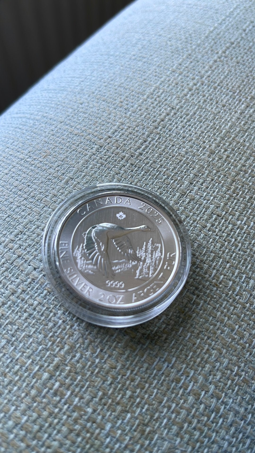 Goose Canada 2025. /. 2 OZ, Ophalen of Verzenden, Zilver