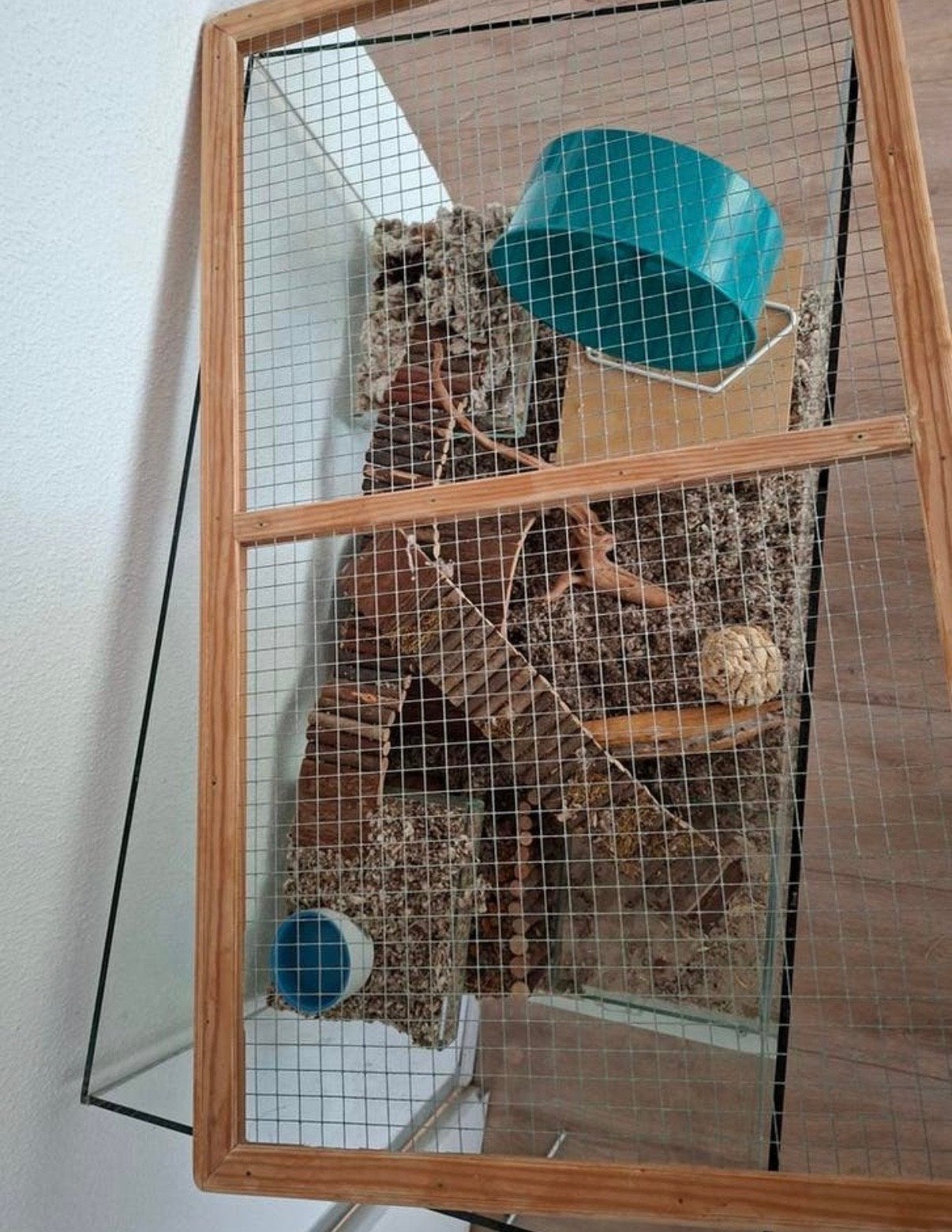 Mooi hamsterterrarium, Dieren en Toebehoren, Knaagdieren en Konijnen | Hokken en Kooien, Zo goed als nieuw, 75 tot 110 cm, Ophalen