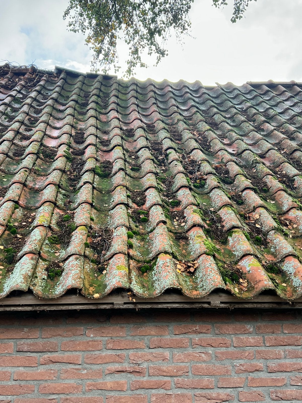Hollandse dakpannen - ca. 800 stuks, Doe-het-zelf en Verbouw, Gebruikt, Steen of Klei, Ophalen of Verzenden, 15 m² of meer