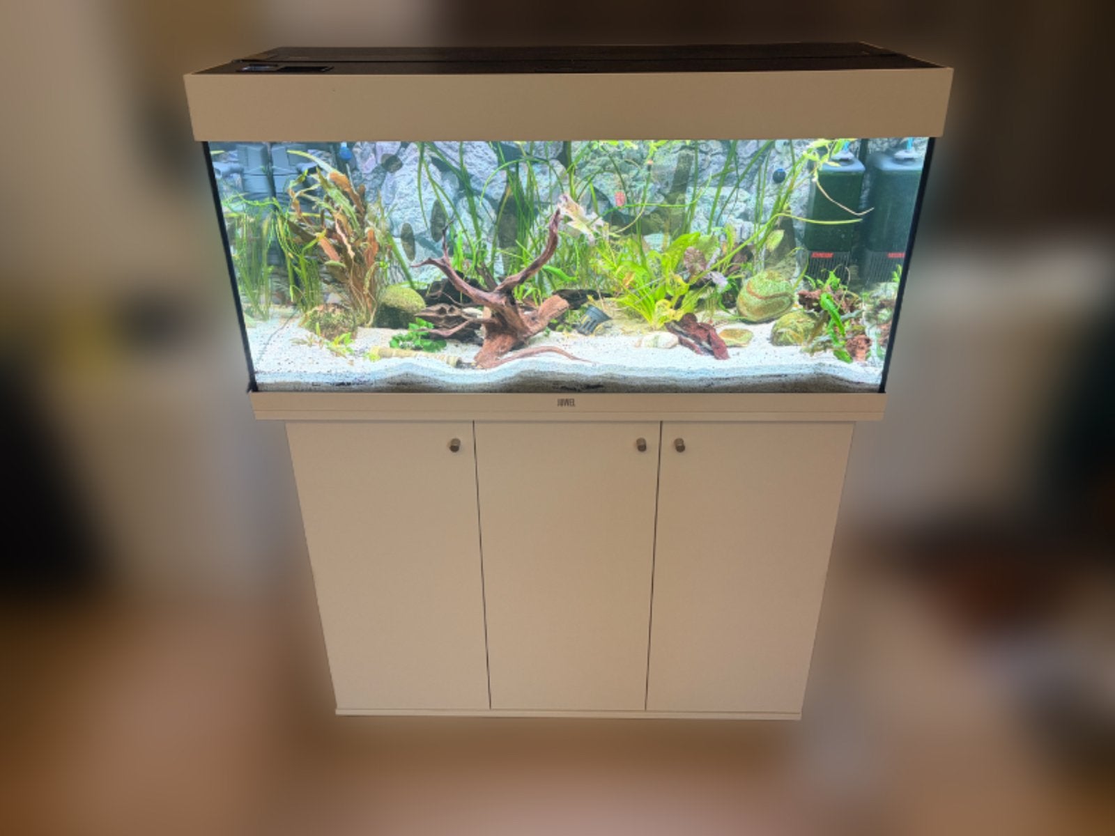 Juwel Rio 180 met kast, vaste prijs, Dieren en Toebehoren, Vissen | Aquaria en Toebehoren, Ophalen, Zo goed als nieuw, Leeg aquarium