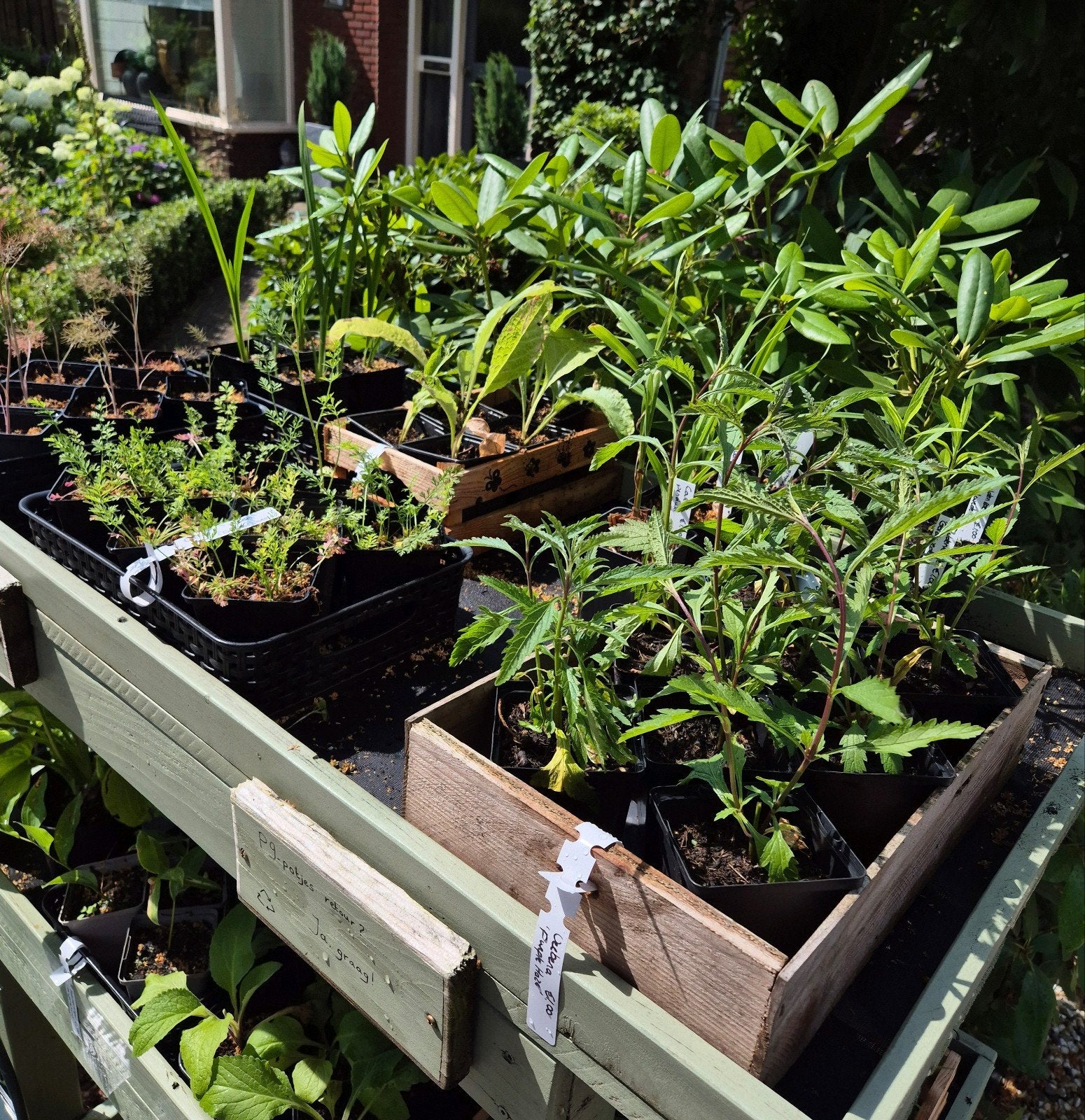 Plantenkraam & Open Tuindag, Ophalen