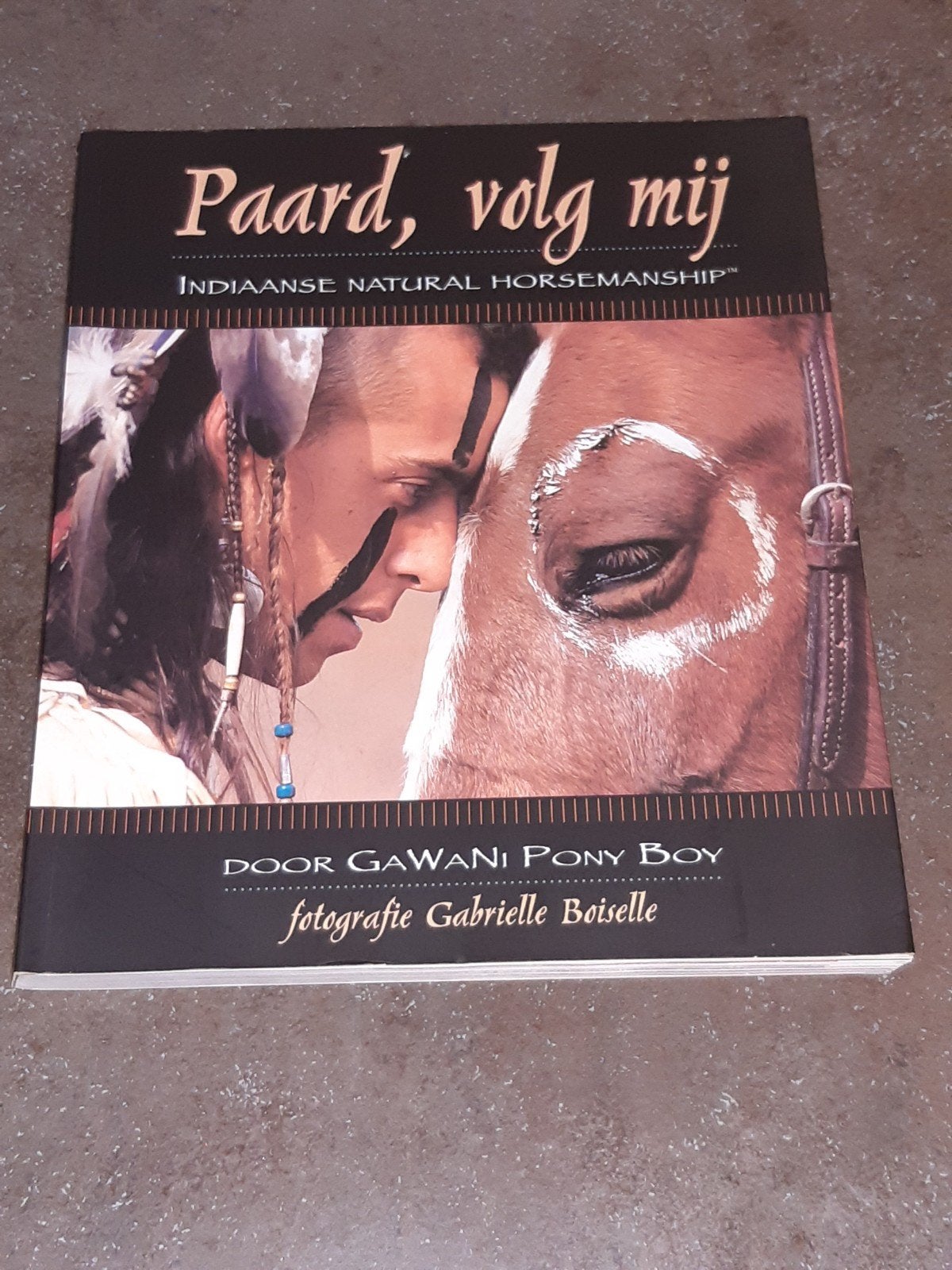 paard volg mij Gawani pony boy / horsemanship, Ophalen of Verzenden, Zo goed als nieuw, Katten
