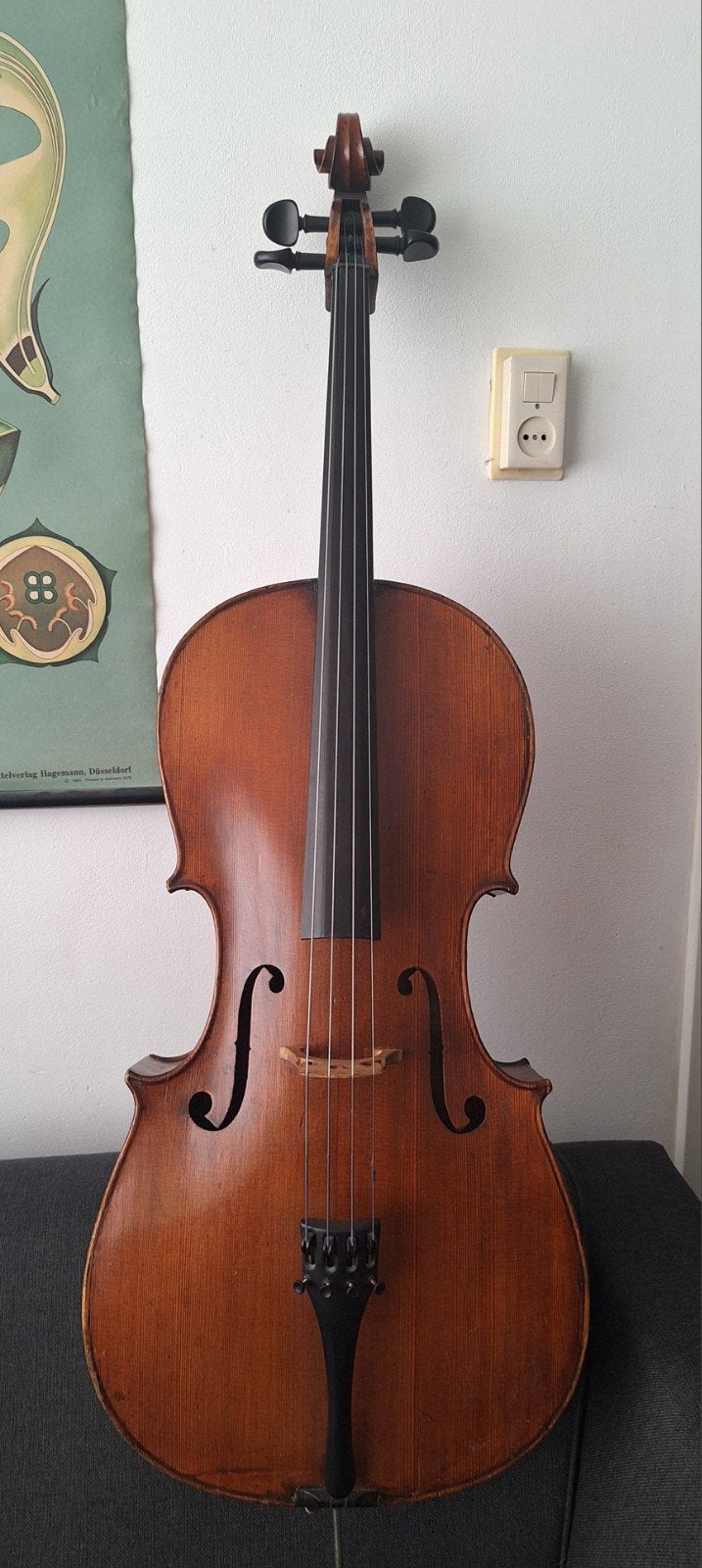 Oud Duitse Cello, Muziek en Instrumenten, Ophalen, Gebruikt, Met koffer